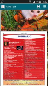 12165973_10206937229540639_281015835_n